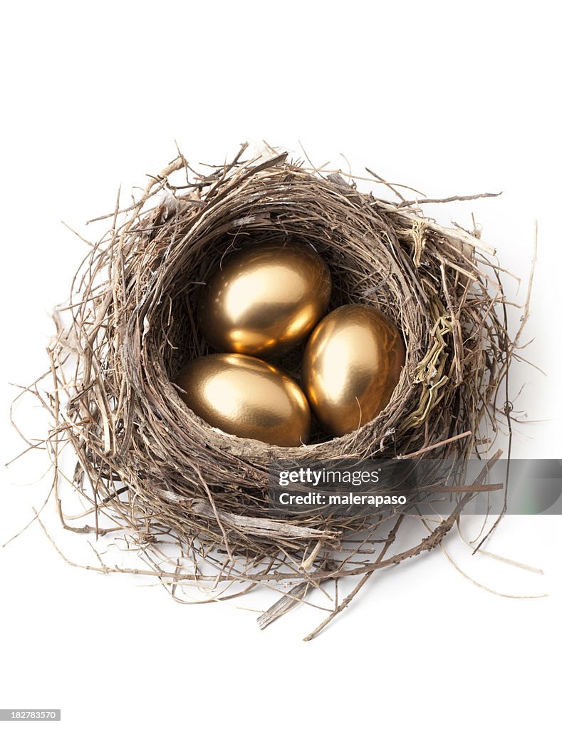 Golden eggs in nest.