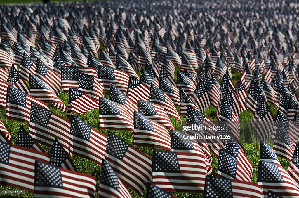 Memorial Day Flags
