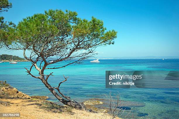 riviera francesa - porquerolles imagens e fotografias de stock