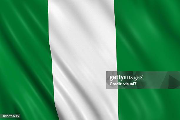 nigerian flag - nigerian flag stock pictures, royalty-free photos & images