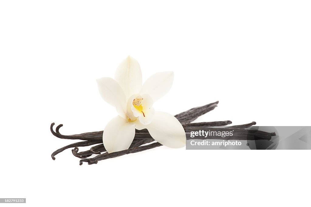 Vanilleschoten und Orchidee