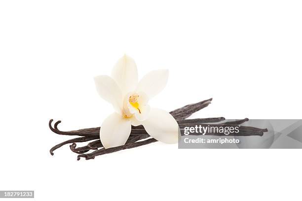 vanilla beans with orchid - vanilla stock pictures, royalty-free photos & images