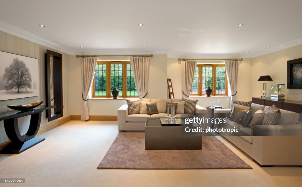 Large, model reception room in luxury home