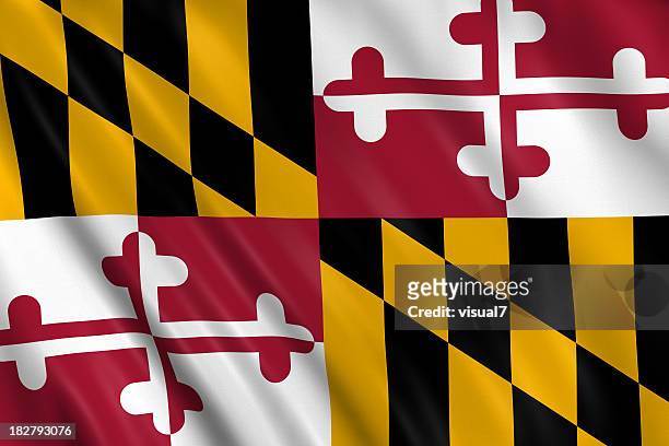 flag of maryland - maryland flag stock pictures, royalty-free photos & images