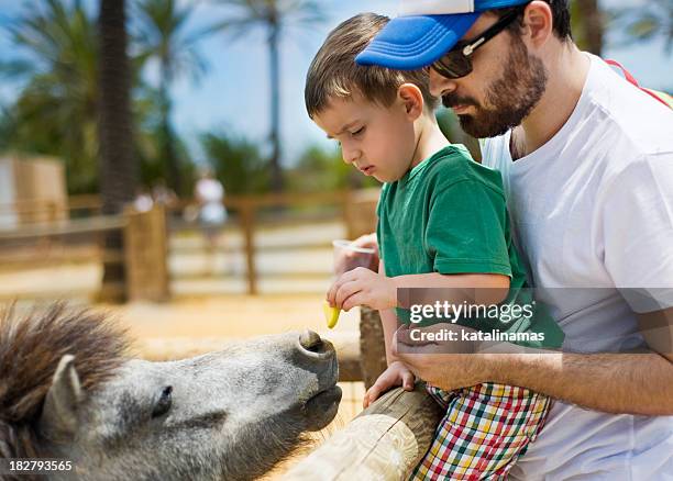 young father and son feeding a pony - petting zoo stock pictures, royalty-free photos & images