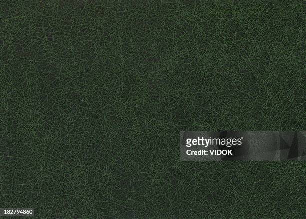 green leather. - green leather stock pictures, royalty-free photos & images