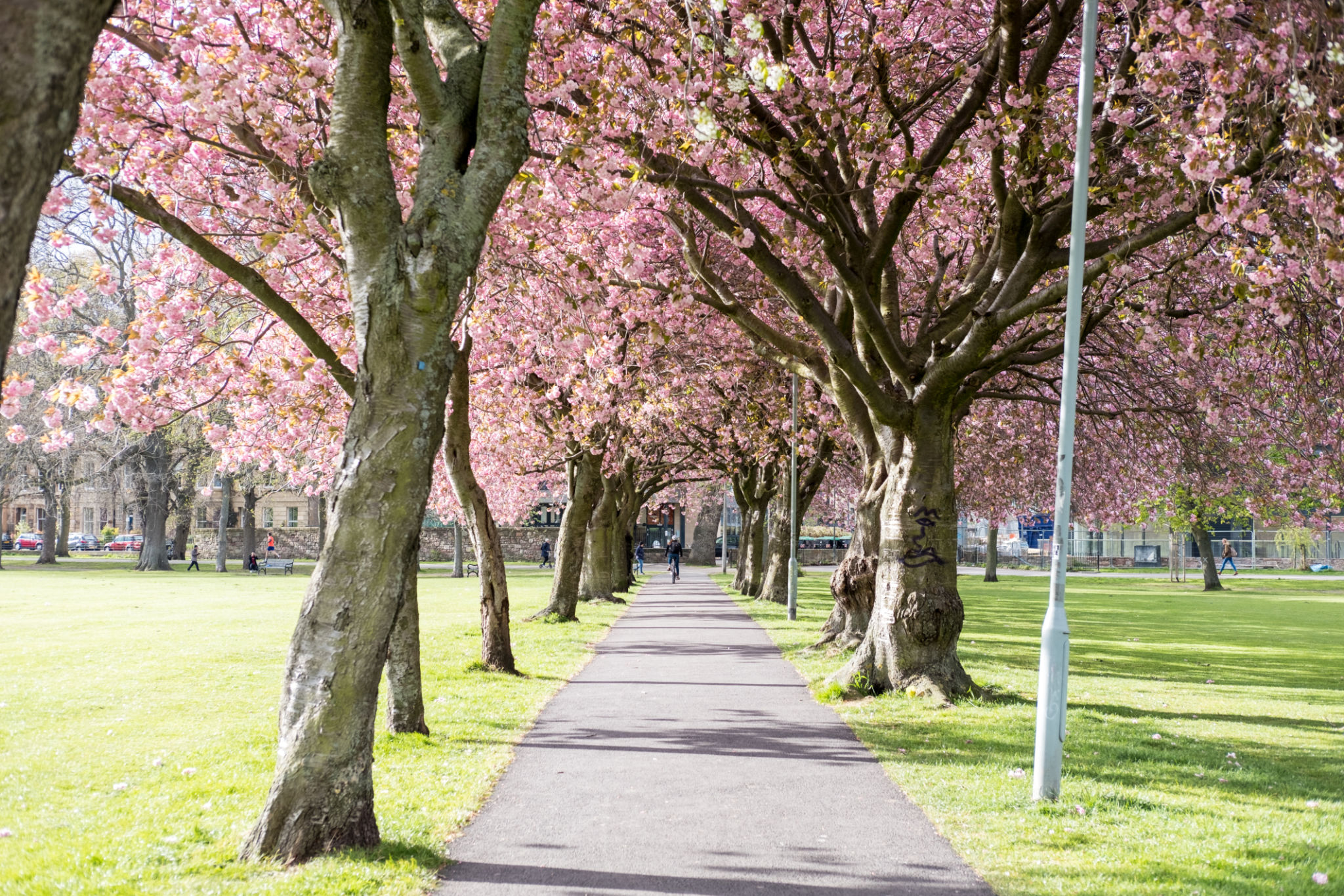 edinburgh fitness