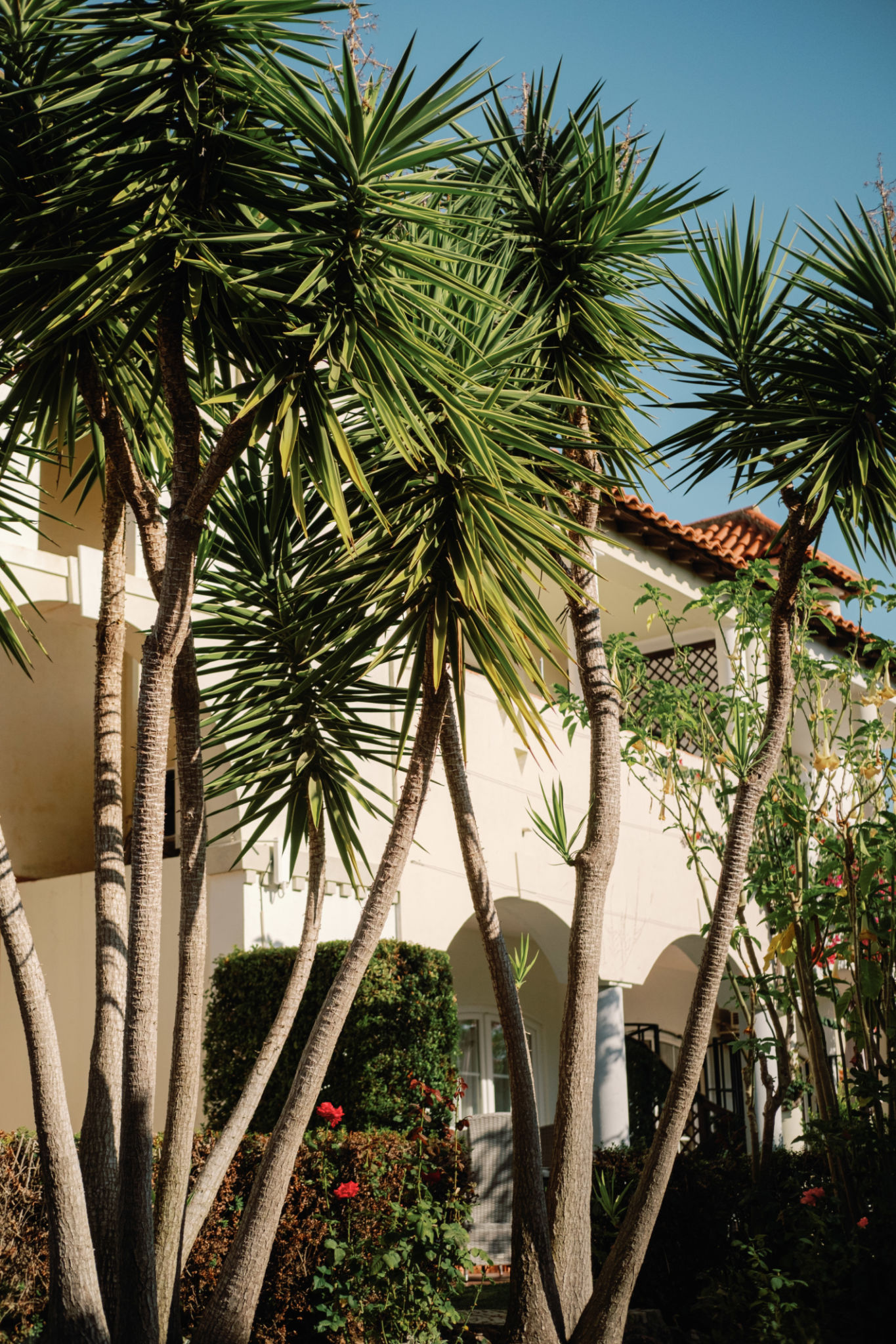 algarve resort