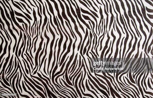 zebra-muster - zebramuster stock-fotos und bilder