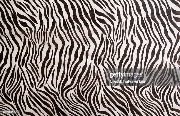 zebra pattern - zebra stock pictures, royalty-free photos & images