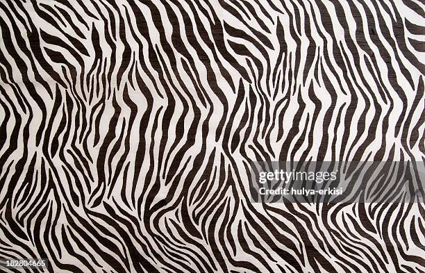 zebra padrão - estampa de animal imagens e fotografias de stock