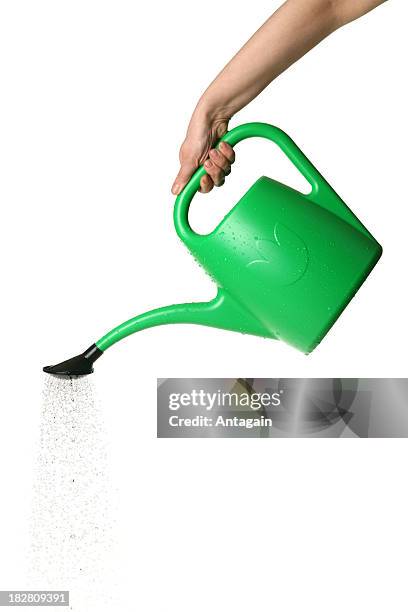 watering - watering can stock pictures, royalty-free photos & images