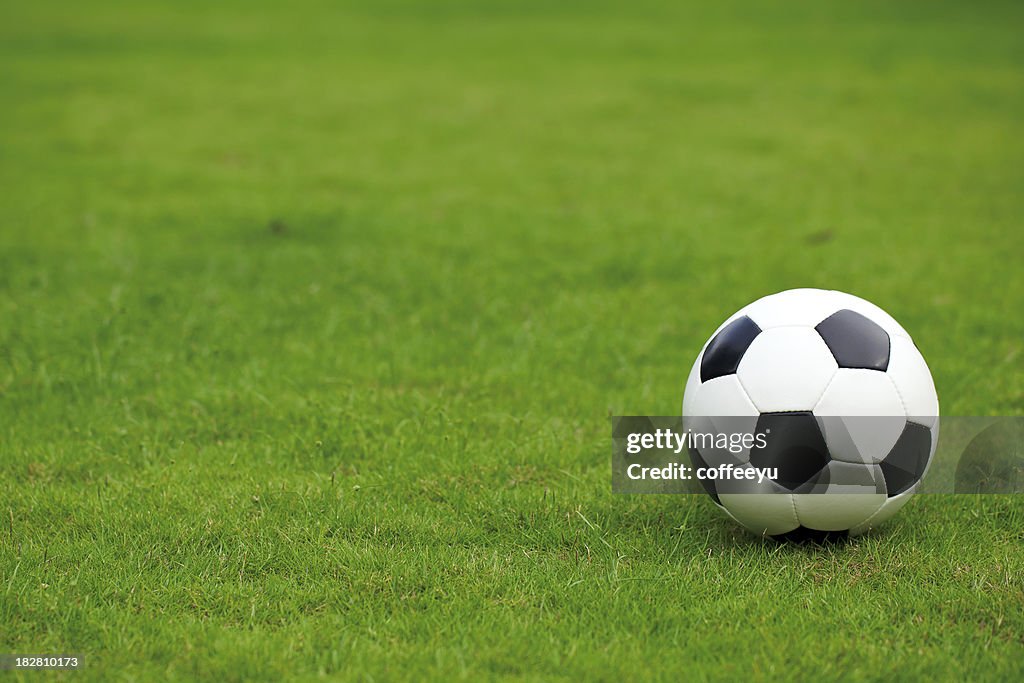 Soccer Ball on Lawn