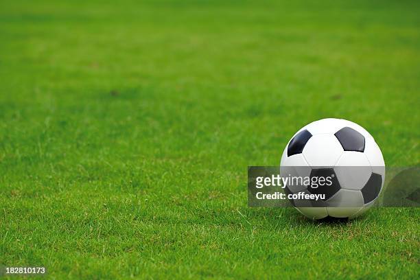 soccer ball on lawn - soccer ball stock pictures, royalty-free photos & images