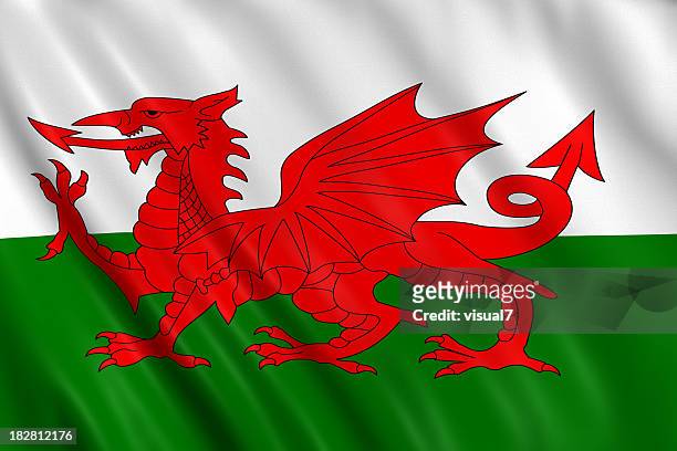 walisische flagge - welsh flag stock-fotos und bilder