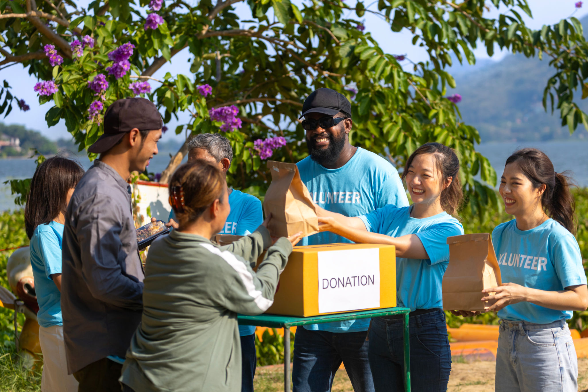 community food distribution