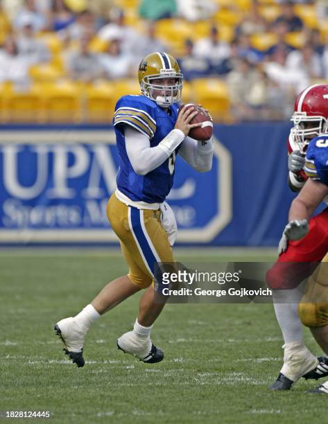 Quarterback Tyler Palko of the University of Pittsburgh Panthers looks to pass against the Youngstown State Penguins during a college football game...