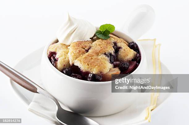 torta ripiena ai mirtilli fatta in casa - torta ripiena di frutta foto e immagini stock