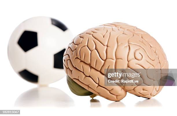model gehirn mit fußball ball auf perspex - brain workout stock-fotos und bilder