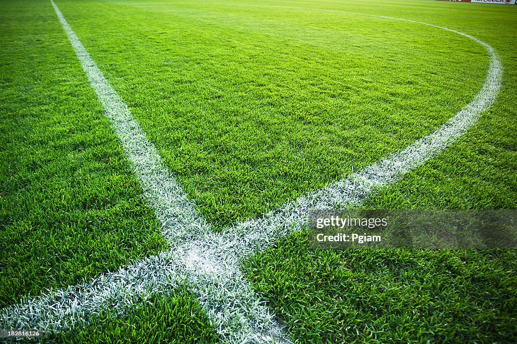 Grass turf on a sports field