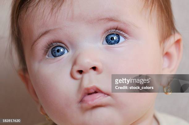 yeux bleus - boucle d'oreille photos et images de collection