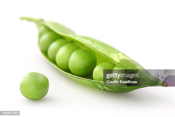 fresh green pea - pea pod stock pictures, royalty-free photos & images