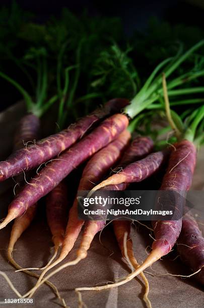 purple heirloom carrots - carrot stock pictures, royalty-free photos & images