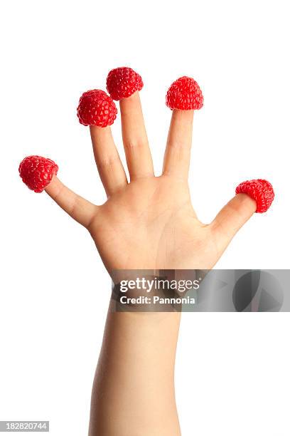 child's hand with raspberry - berries and hand stock pictures, royalty-free photos & images