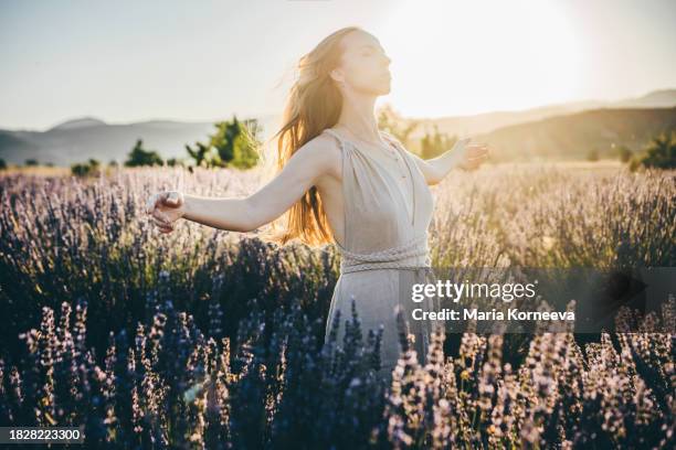 a smiling young woman smelling the scent of lavender in a lavender field. - lavendel stock-fotos und bilder