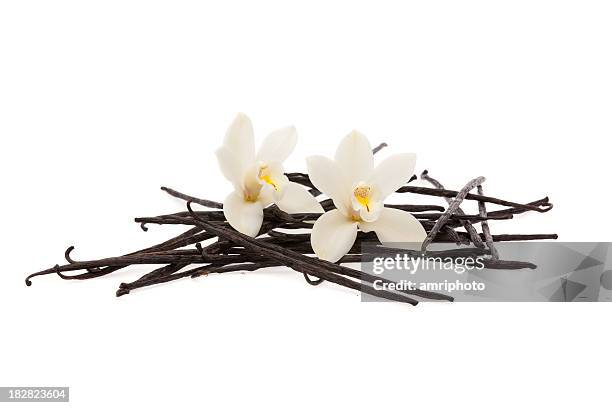 vanilla beans and flowers - vanilla stockfoto's en -beelden