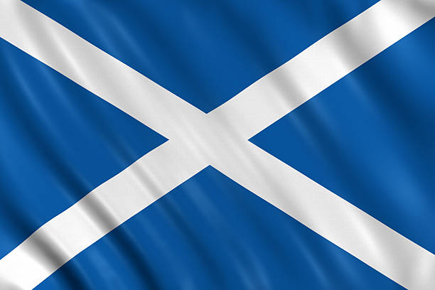 Amazon.com: Scottish Flag 2x3