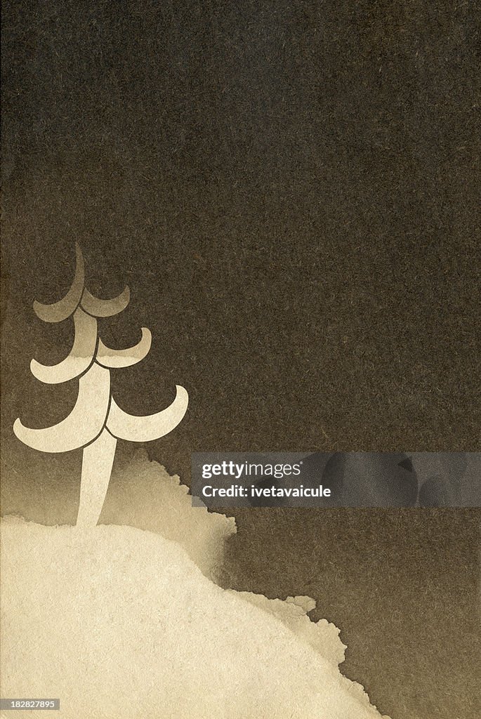 Christmas tree at night