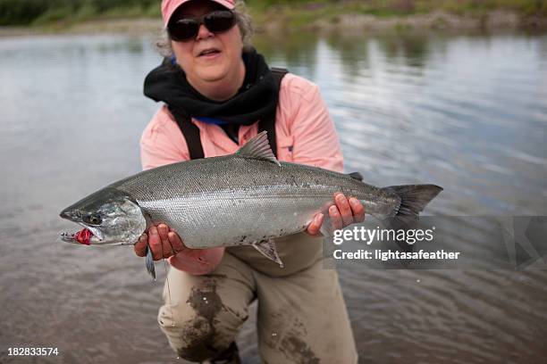 silver salmon caught fly-fishing in alaska - cohozalm stockfoto's en -beelden