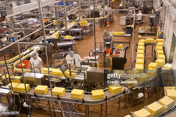 usine de conditionnement de fromage - dairy product stock photos et images de collection