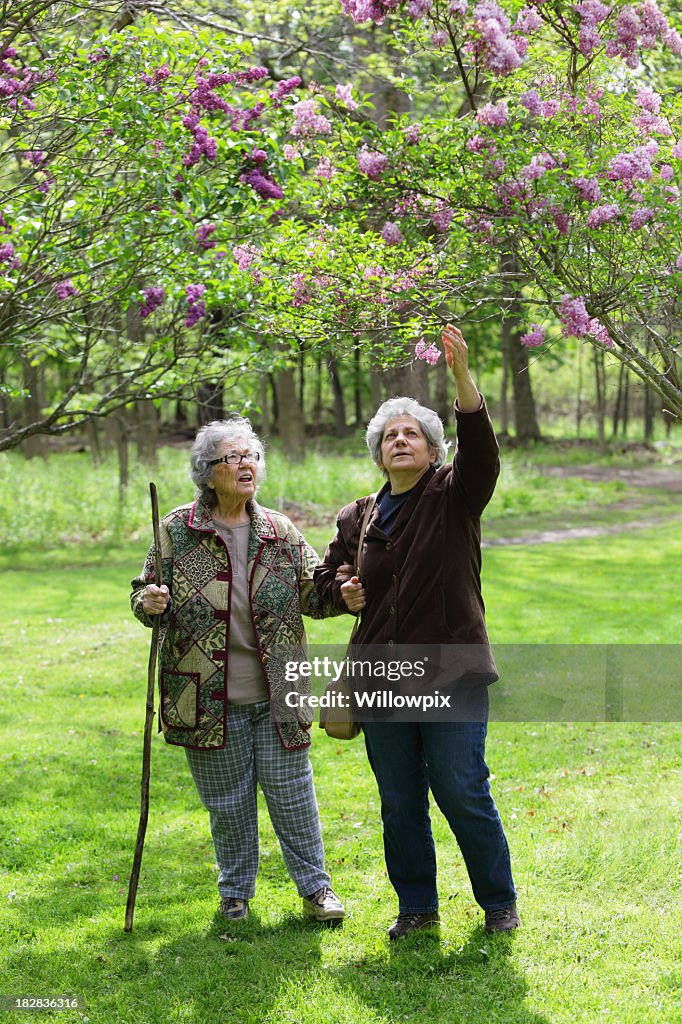 Mature Daughter and Senior Mother at Nature Park