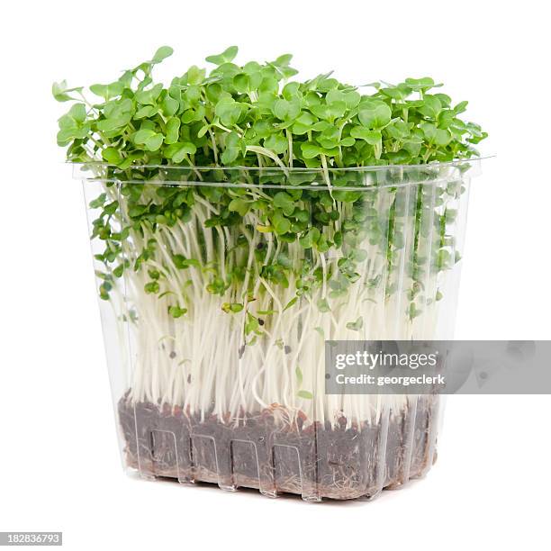 fresh watercress punnet - fruit carton stock pictures, royalty-free photos & images