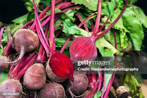 Beetroot Beetroot
