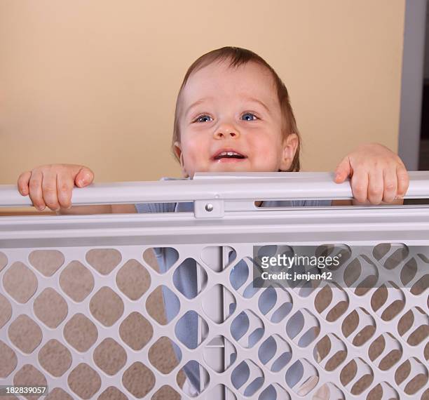 happy child at baby gate - baby gate stock pictures, royalty-free photos & images