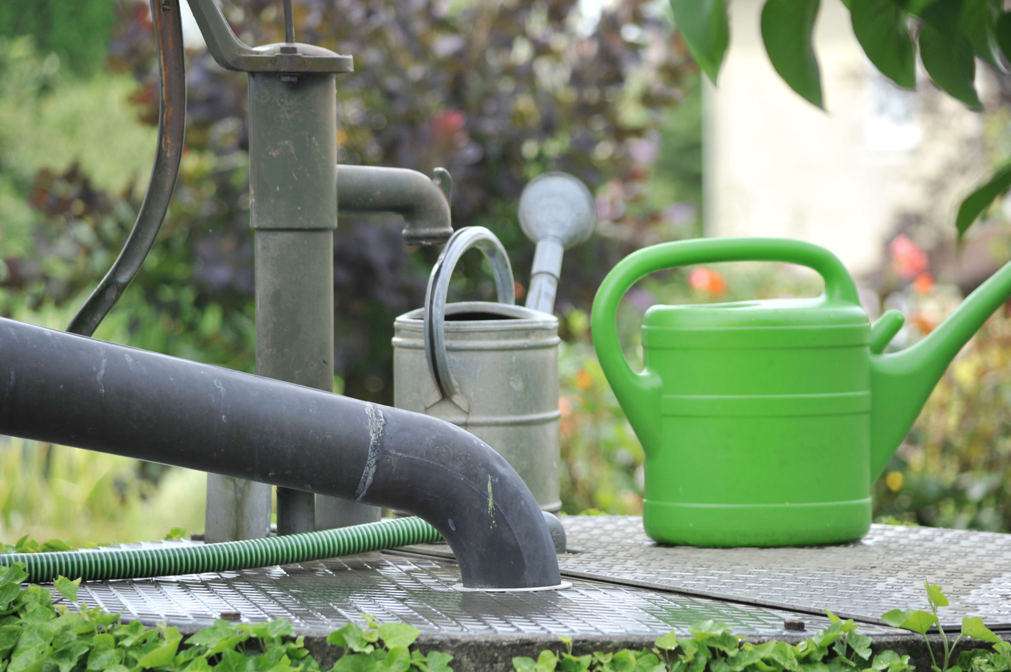 stormwater garden