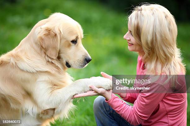 girl with her dog. - animal hand stock pictures, royalty-free photos & images