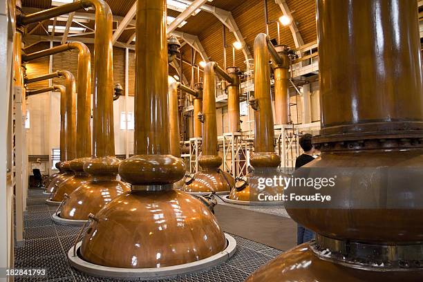 view of copper whiskey stills in a distillery - distillerijvat stockfoto's en -beelden