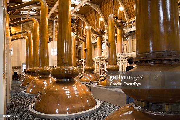 view of copper whiskey stills in a distillery - distillery 個照片及圖片檔