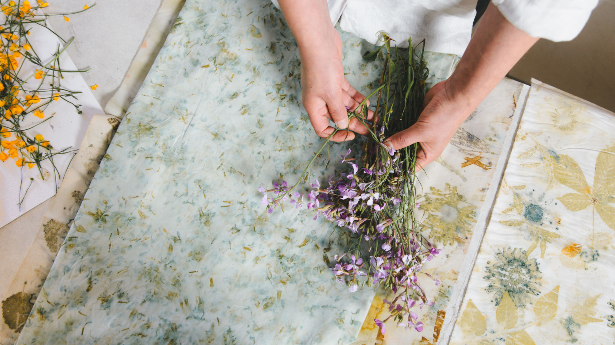eco friendly dyeing