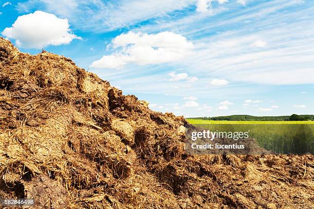 dung heap in a field in summer - ontlasting van dieren stockfoto's en -beelden