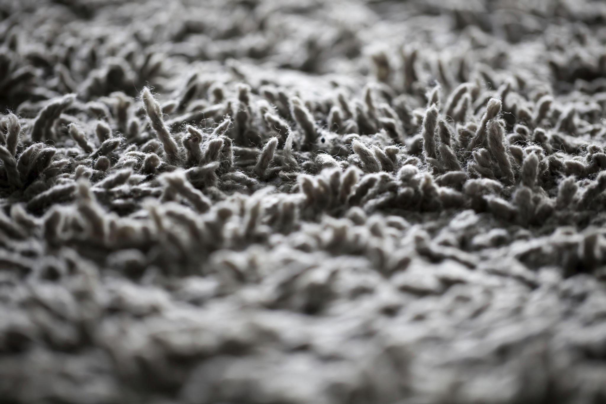 carpet fibers