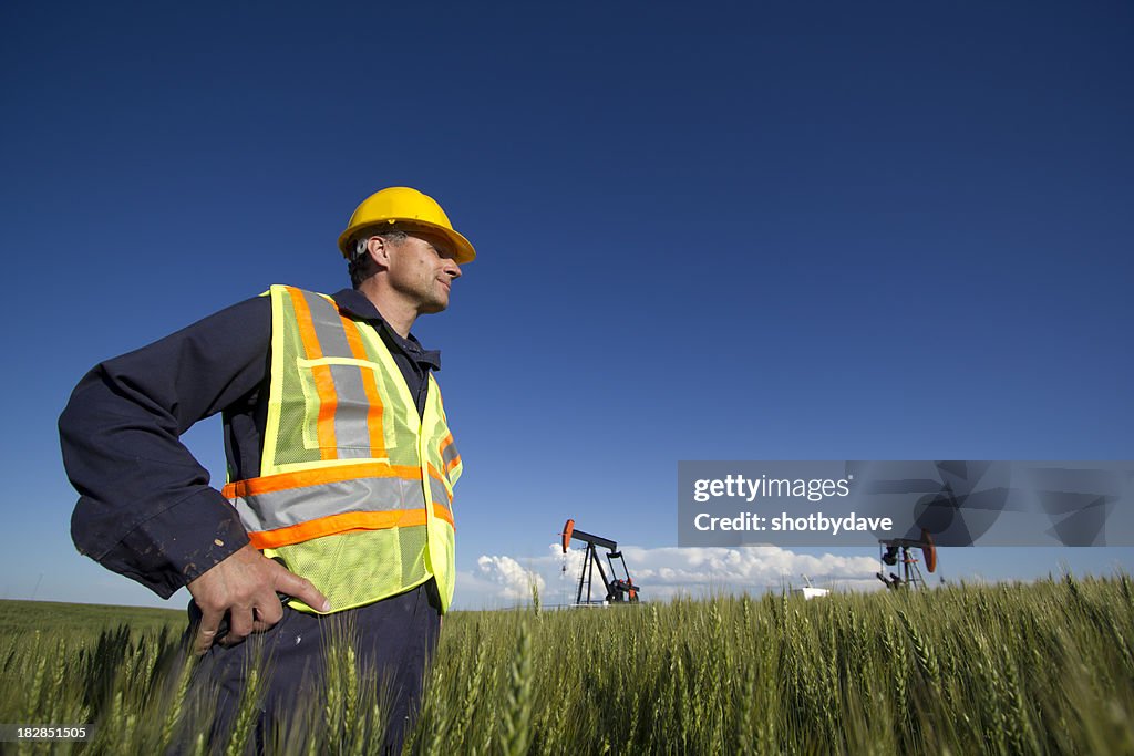 Oil and Nature