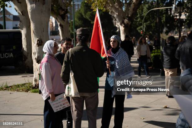 Mujer con pañuelo palestino en la manifestacion convocada por la Plataforma 4D con motivo del Dia Nacional de Andalucia a 03 de diciembre del 2023 en...