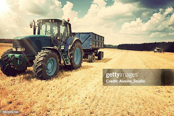 harvesting - agricultural machinery stock pictures, royalty-free photos & images