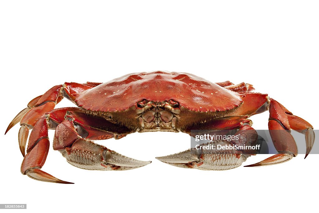 Crab ganze