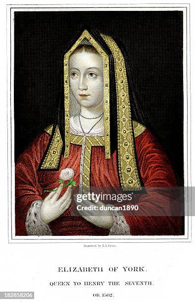 elizabeth of york - tudor women stock illustrations